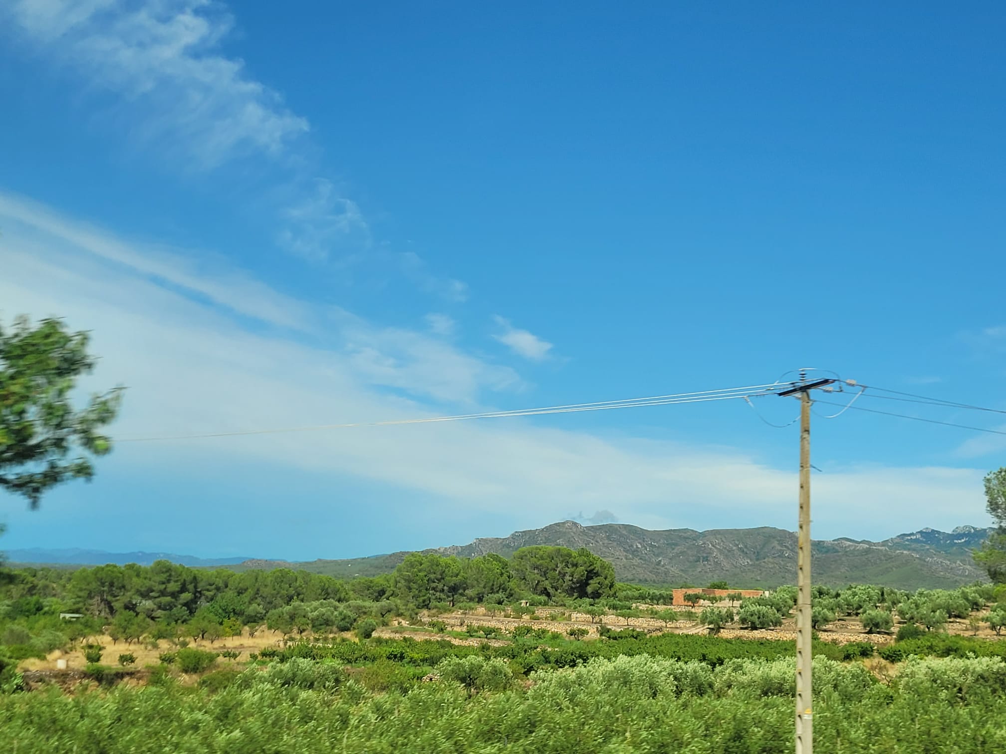 WhatsApp Image 2026-03-23 at 8.48.22 PM (5).jpeg